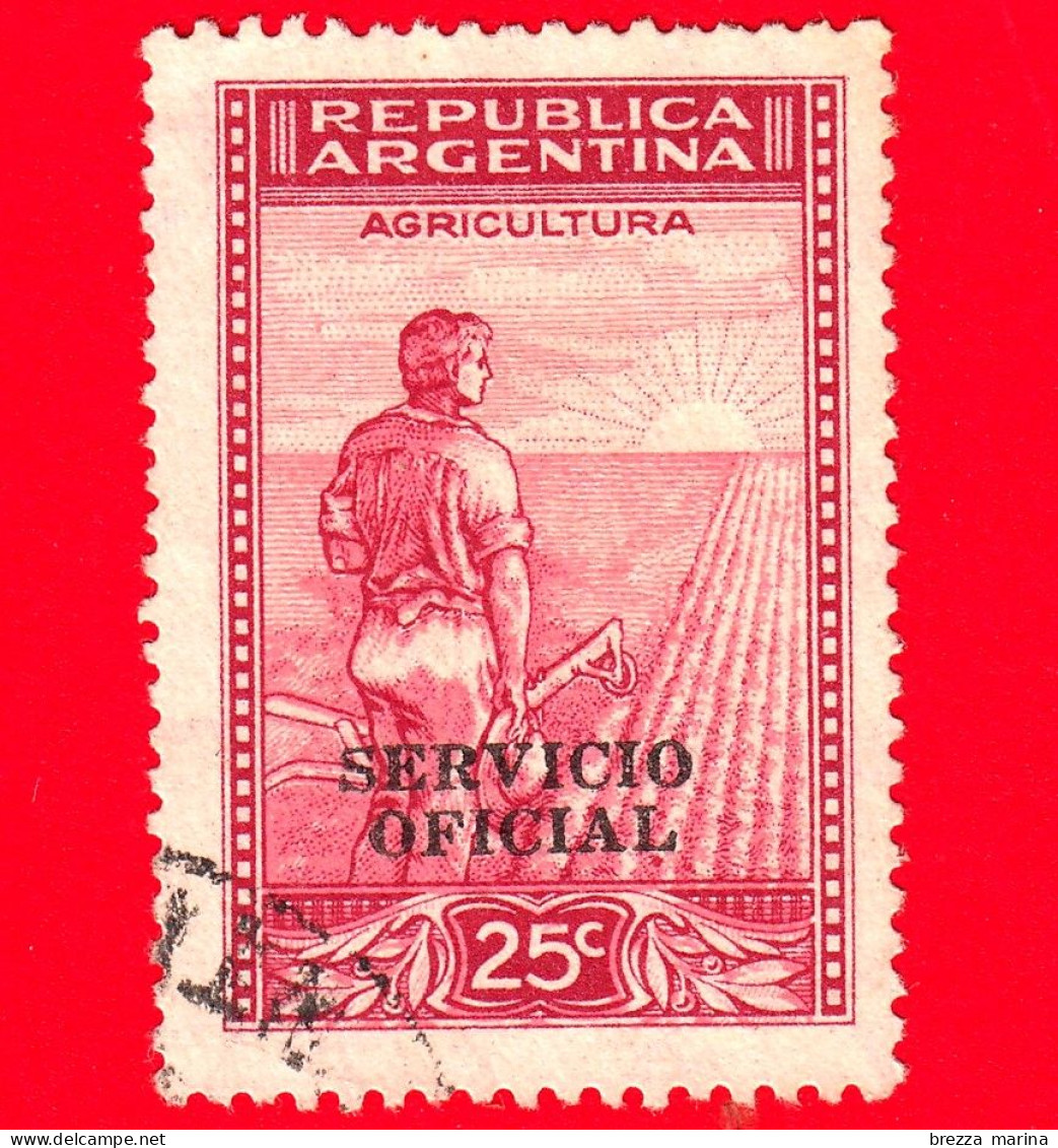 ARGENTINA - Usato - 1953 - Prodotti Del Paese - Agricoltura - Sovrastampato SERVICIO OFICIAL - 25 - Usati