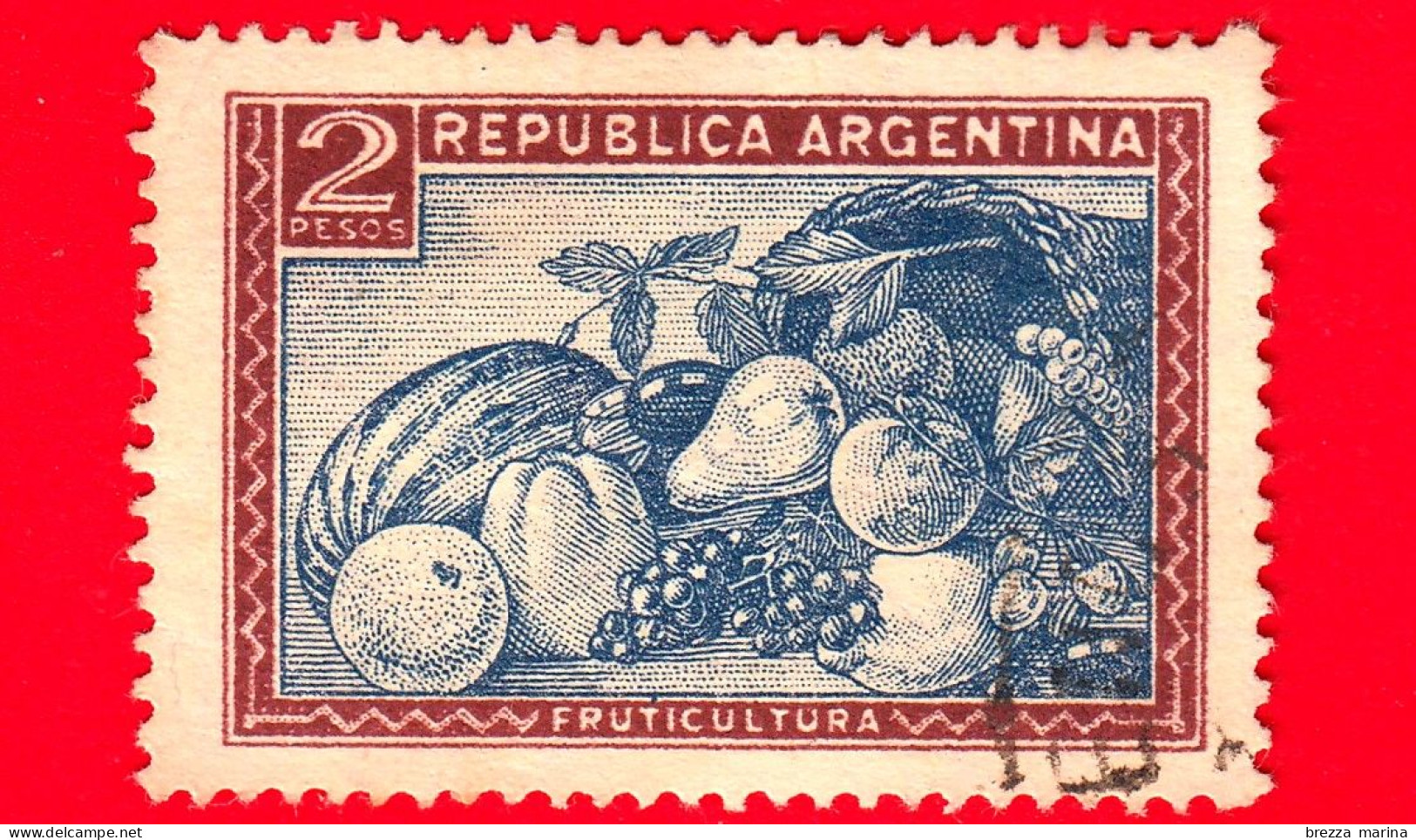ARGENTINA - Usato - 1936 - Prodotti Del Paese - Frutta - 2 - Usati