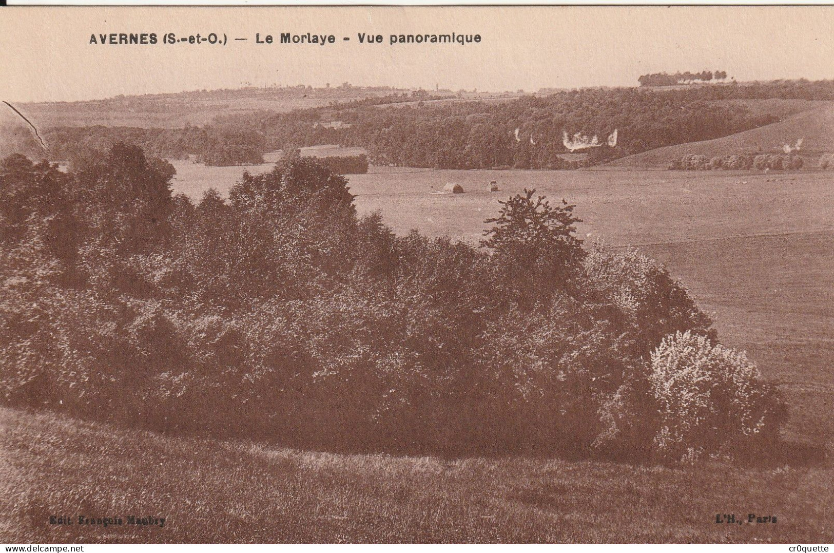 # 95450  AVERNES / CHÂTEAU De VIGNY - AVENUE De GUIRY Et PANORAMAS Vers  1920/30 (lot De 5 CP) - Avernes