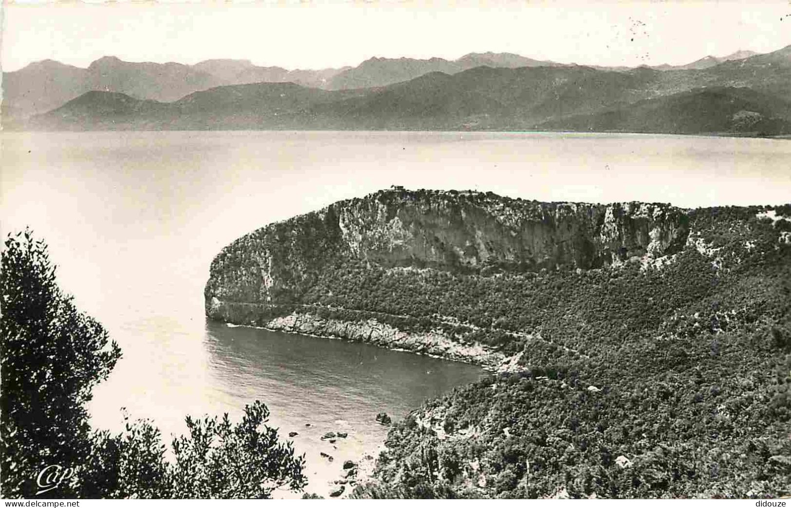 Algérie - Bougie - Cap Bouak Et Les Montagnes Des Babors - Mention Photographie Véritable - Carte Dentelée - CPSM Format - Bejaia (Bougie)