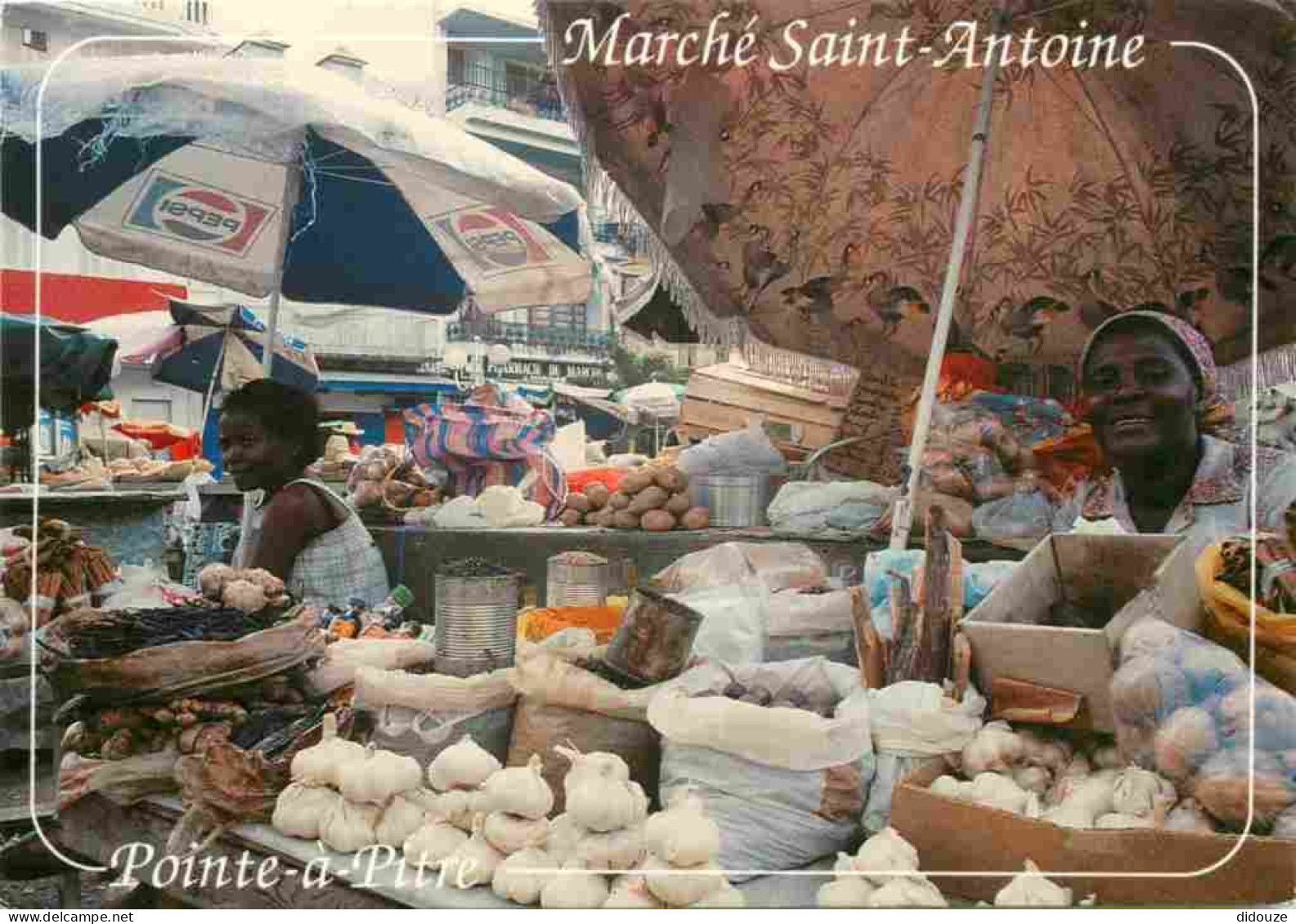 Guadeloupe - Pointe à Pitre - Le Marché Saint Antoine - Fruits Et Légumes - CPM - Voir Scans Recto-Verso - Pointe A Pitre
