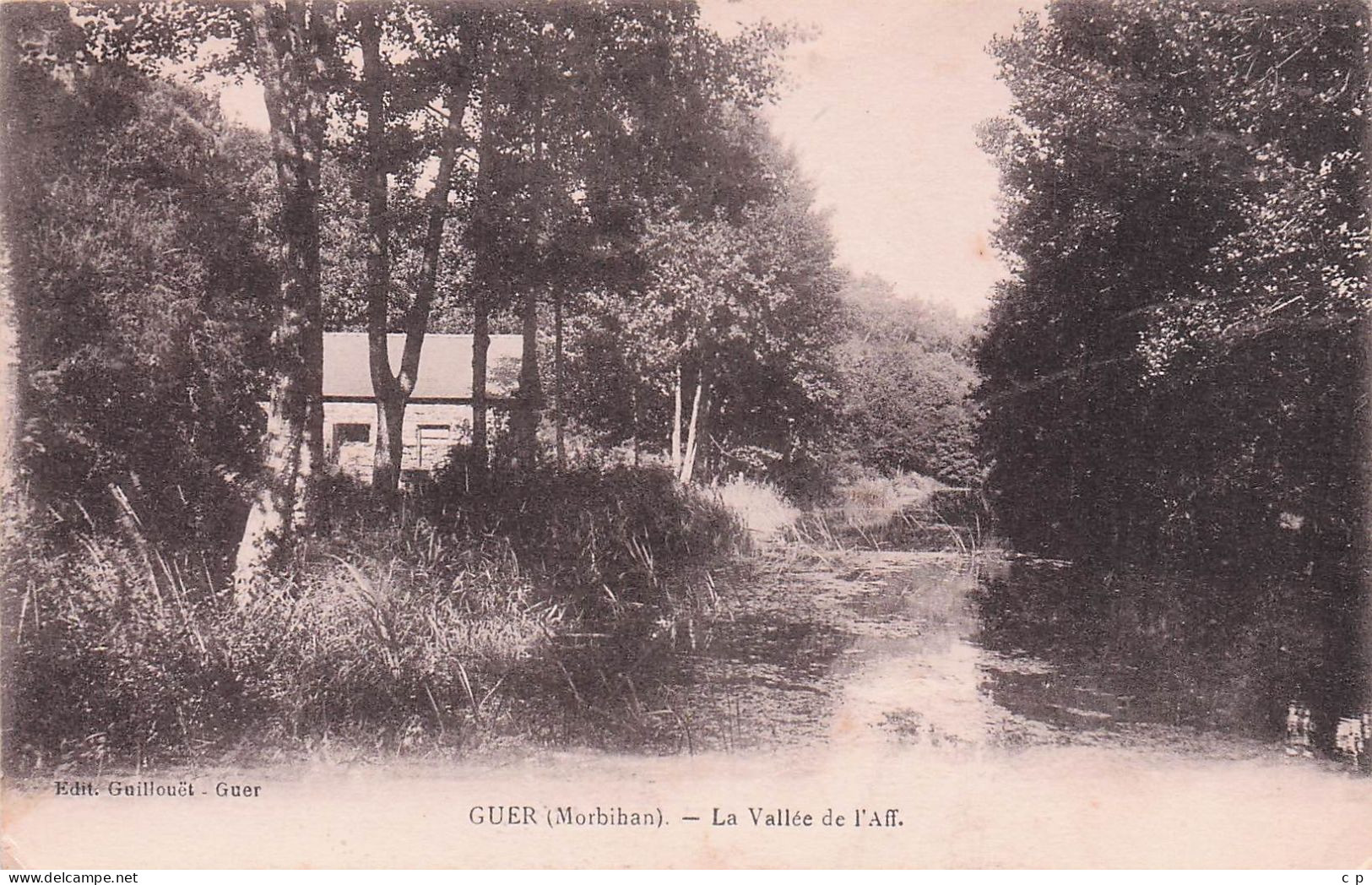 Guer - La Vallée De L'Aff  - CPA °J - Guer Coetquidan