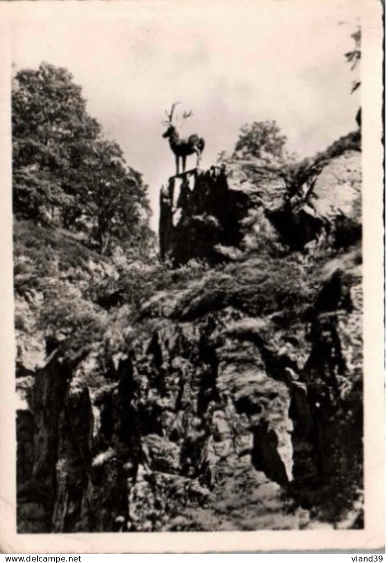 HOLLENTHAL. -  Hirschprung.  -  Saut Du Cerf.   1959. - Höllental