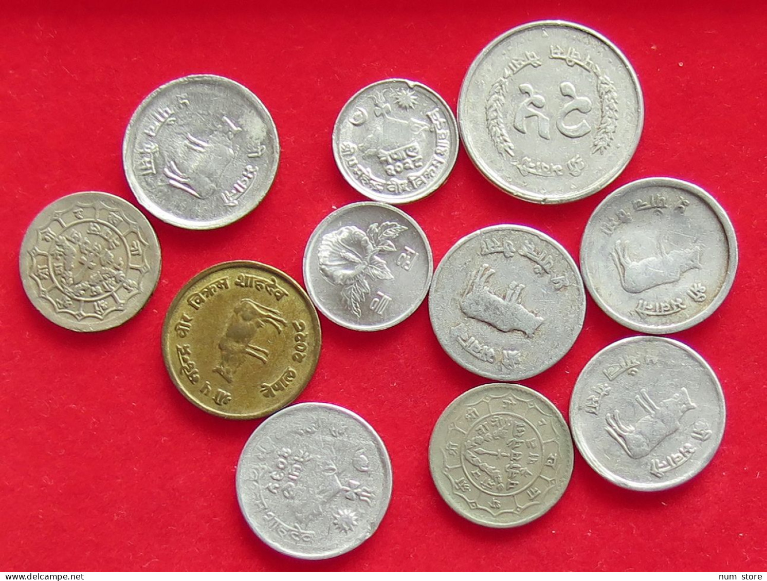 COLLECTION LOT NEPAL 11PC 20G #xx40 1470 - Nepal