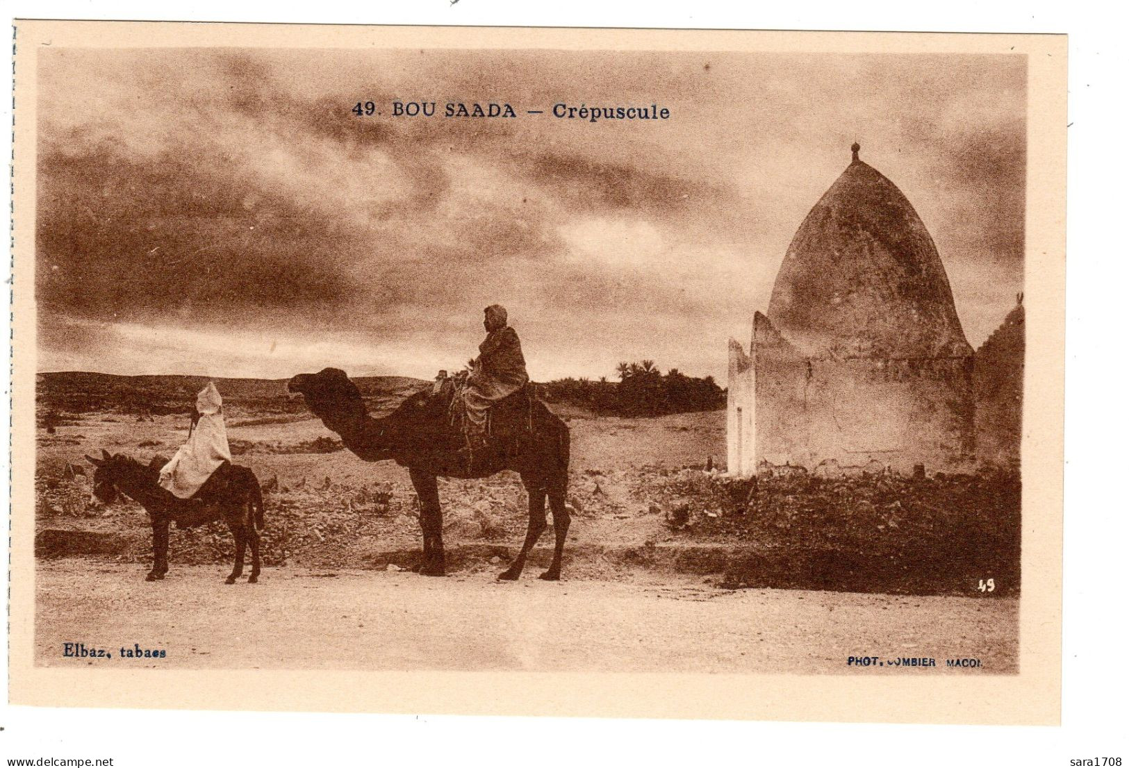 LOT 27 CPA de l'Algérie, dont 20 de BOU-SAADA. voir 27 SCAN.