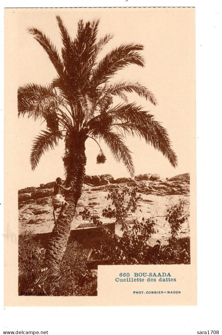 LOT 27 CPA de l'Algérie, dont 20 de BOU-SAADA. voir 27 SCAN. Port GRATUIT FRANCE.