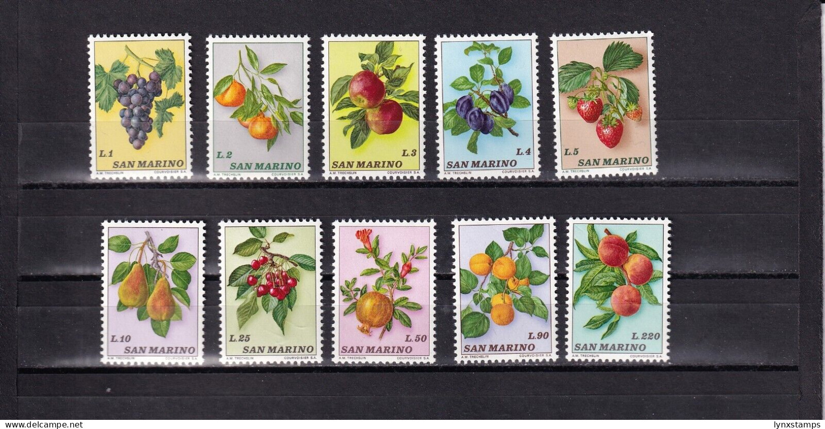 SA04 San Marino 1973 Fruits Mints Stamps - Unused Stamps