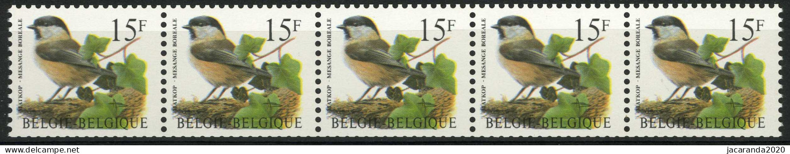 België R83 - Vogels - Oiseaux - André Buzin - 15F Matkop - Strook Van 5 Met Nummer - Rollen