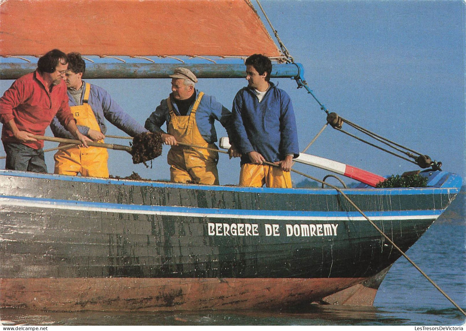 TRANSPORTS - Pêche - La Bergere De Domremy - Un Coquillier Traditionnel De La Rade - Carte Postale - Visvangst