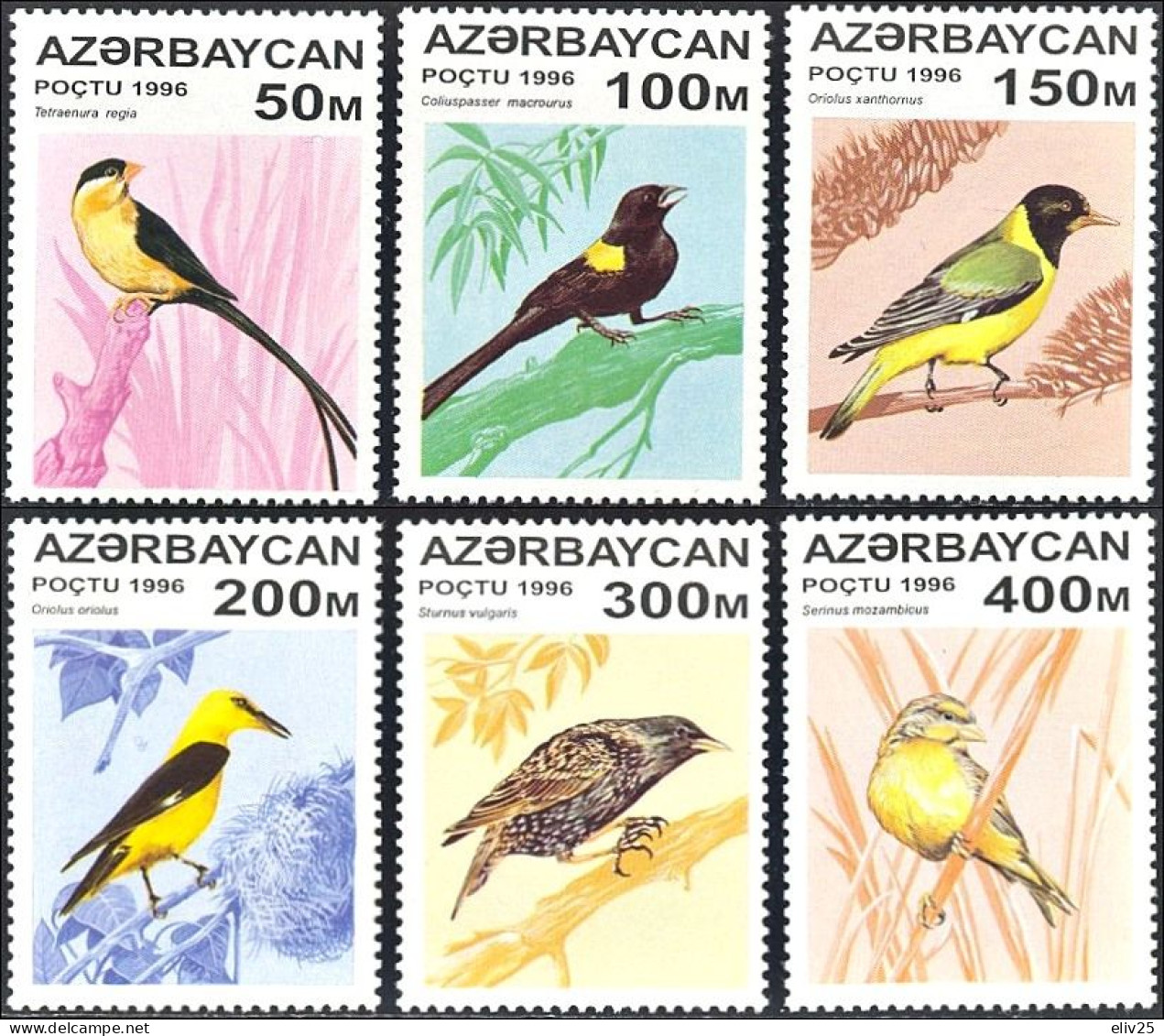 Azerbaijan 1996, Birds Songbirds - 6 V. MNH - Zangvogels