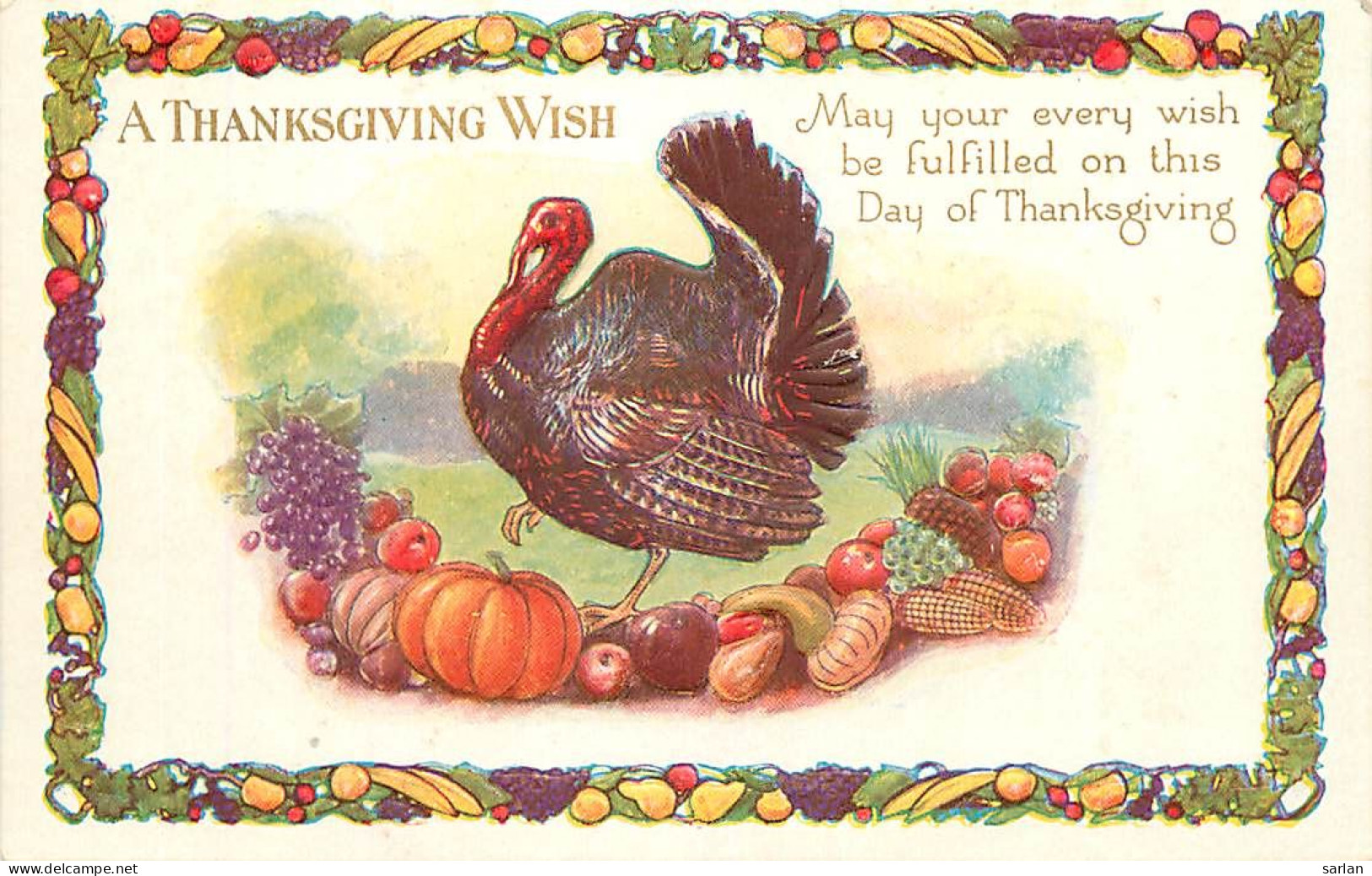 A Thanksgiving Wish , Catte Gaufrée , Embossed Card  , * 450 04 - Giorno Del Ringraziamento