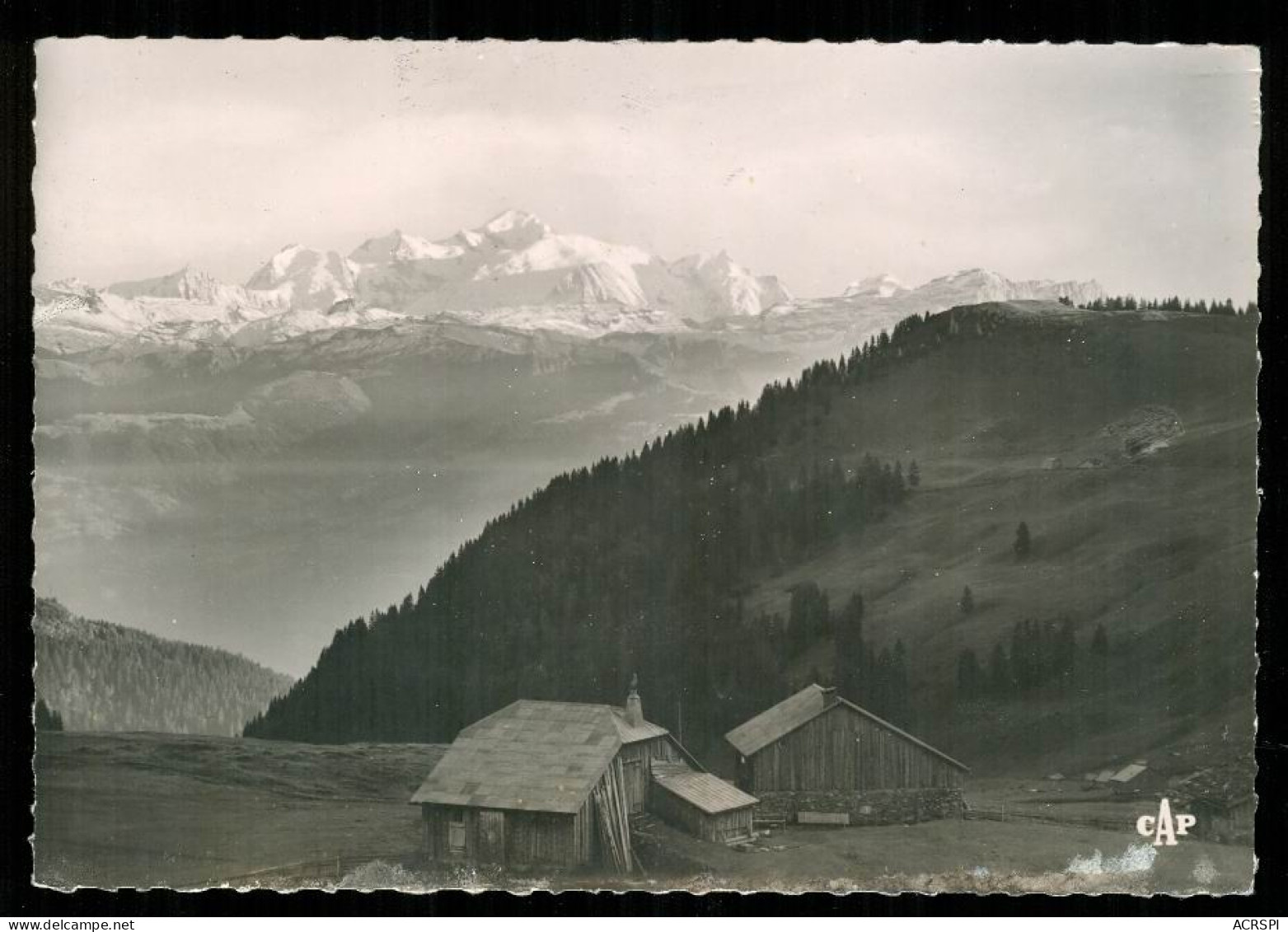 TANINGES Col De La Faucille Vue Sur Le Mont Blanc En 1951  édition Real Photo GM V  - Taninges