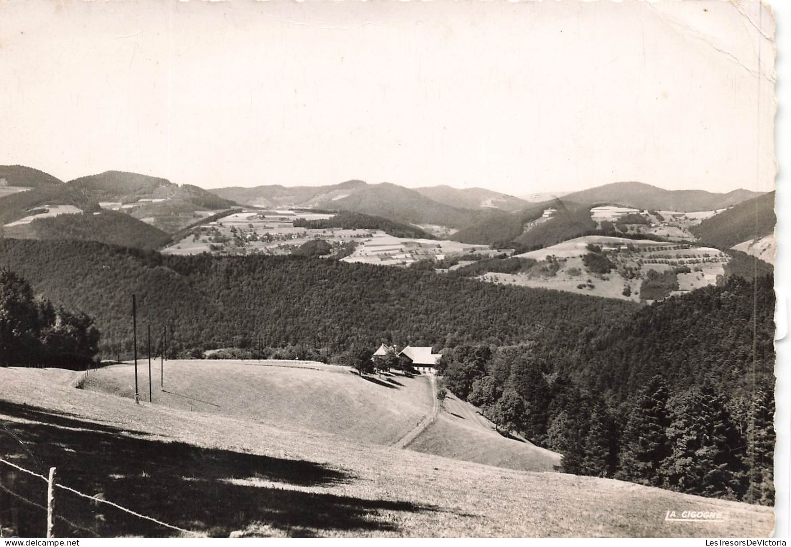 FRANCE - Sainte Marie Aux Mines - Montgoutte Et La Chaîne Des Vosges - Carte Postale - Sainte-Marie-aux-Mines