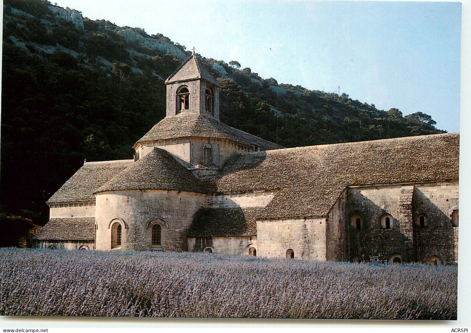 Abbaye De Senanque  UU1522 - Gordes