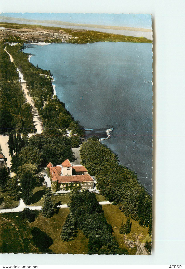 SCIEZ Le Chateau De Coudrée Et Le Lac Léman  UU1524 - Sciez