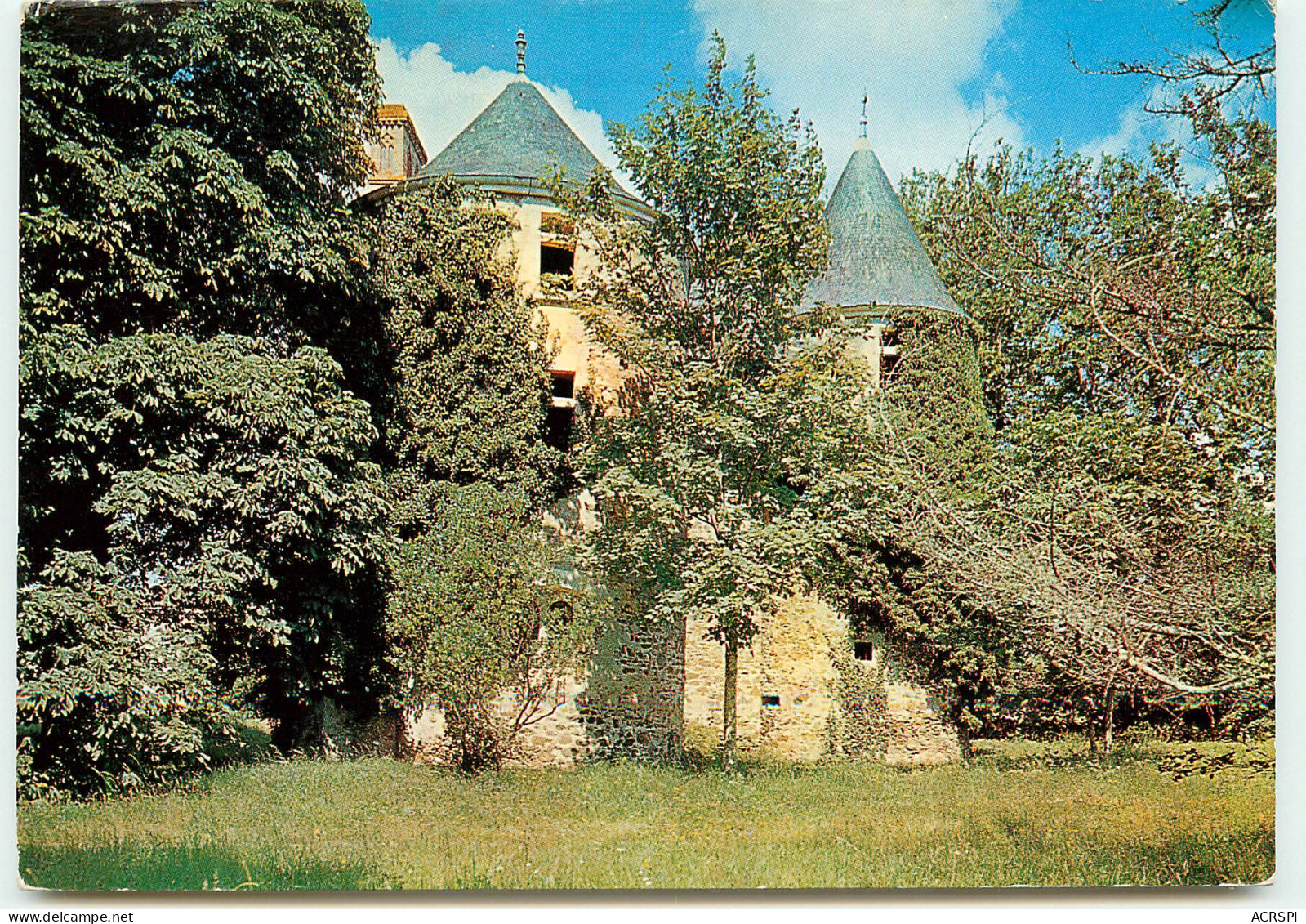 CHANTONNAY Les Tours Du Chateau Du Pally  UU1529 - Chantonnay