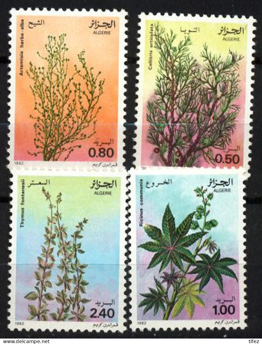 Année 1982-N°762/765 Neufs**MNH : Plantes Médicinales - Algeria (1962-...)