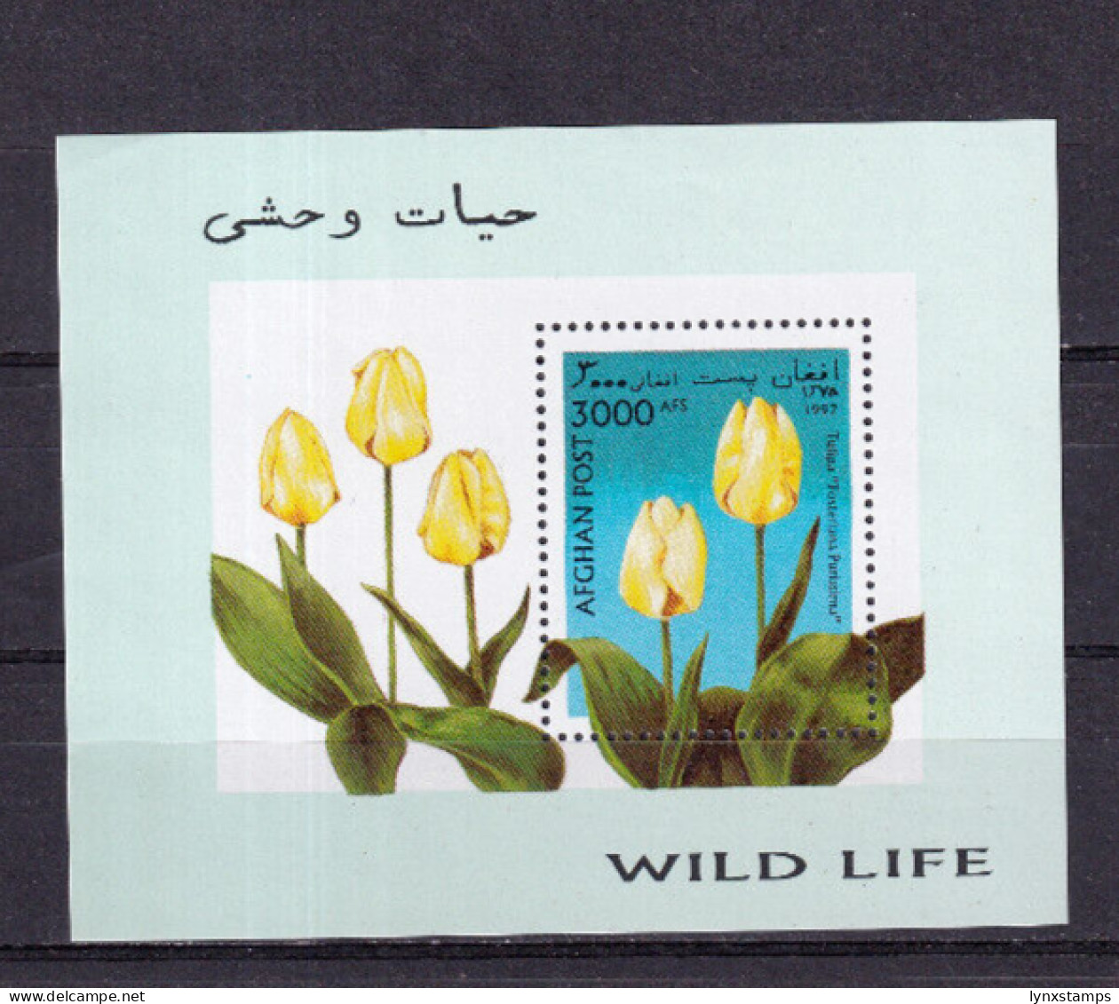 LI04 Afghanistan 1997 Flowers - Tulips Mint Mini Sheet - Afghanistan