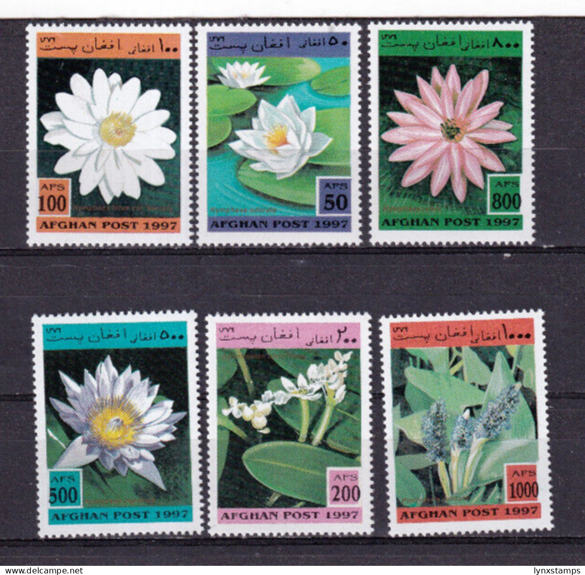 LI04 Afghanistan 1997 Flora - Flowers Mint Stamps - Afganistán