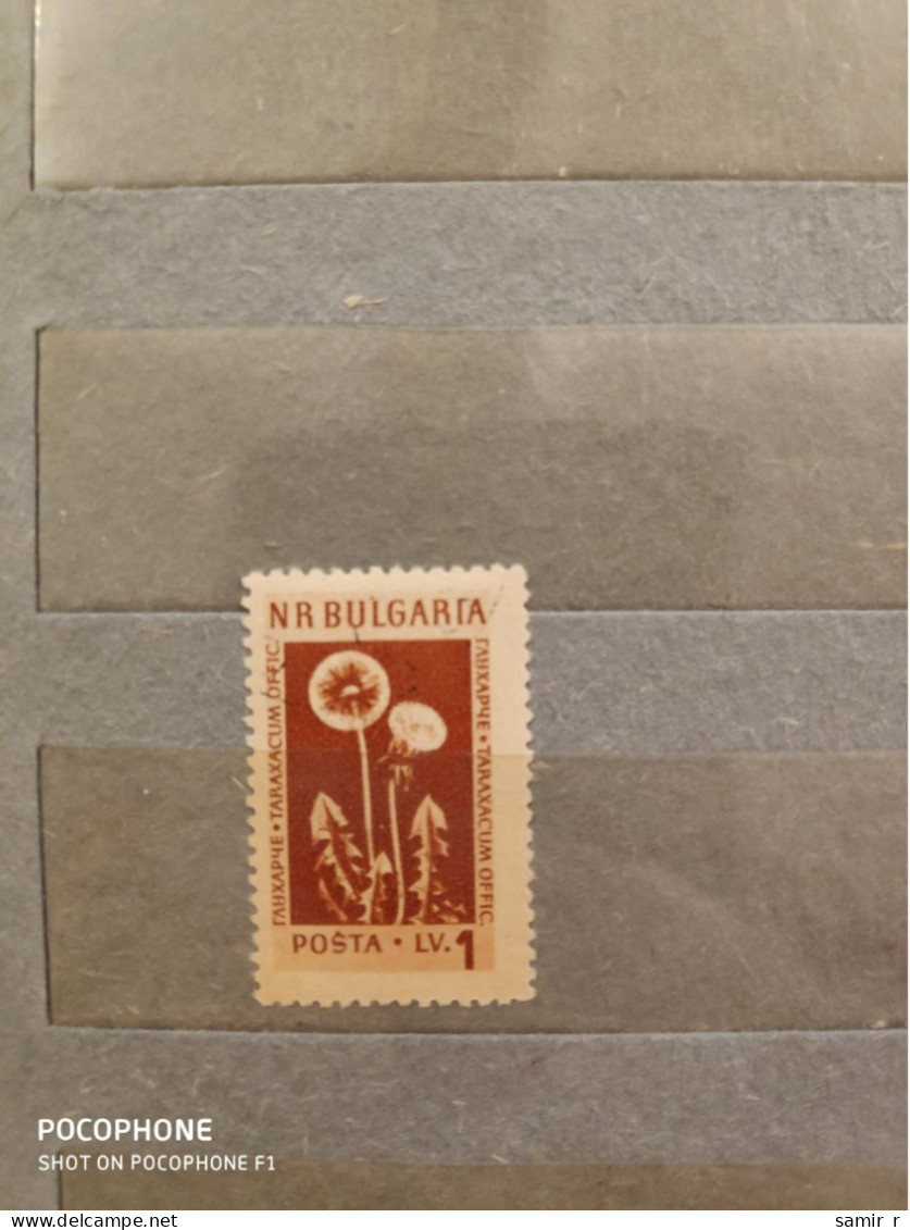 1953	Bulgaria	Flowers (F89) - Unused Stamps