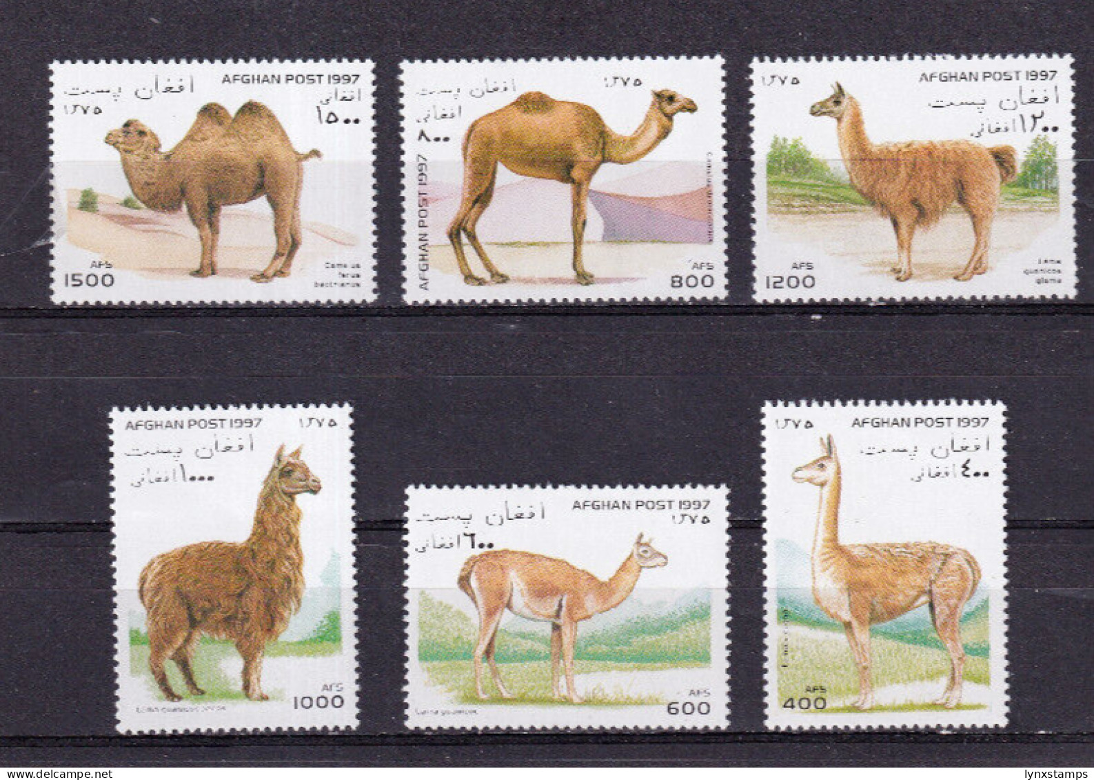 LI04 Afghanistan 1997 Llamas & Camels Mint Stamps - Afghanistan