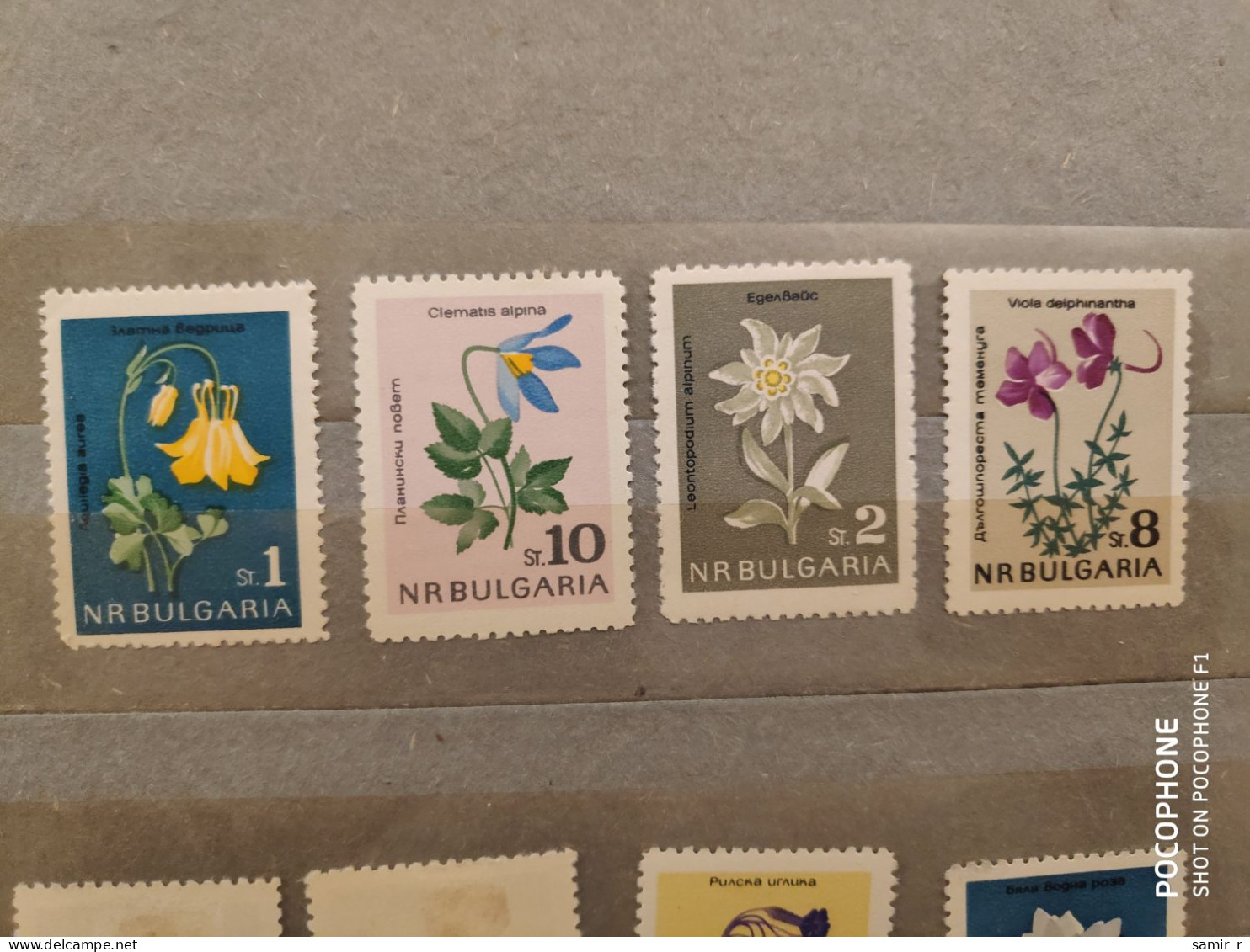 1962	Bulgaria	Flowers (F89) - Neufs