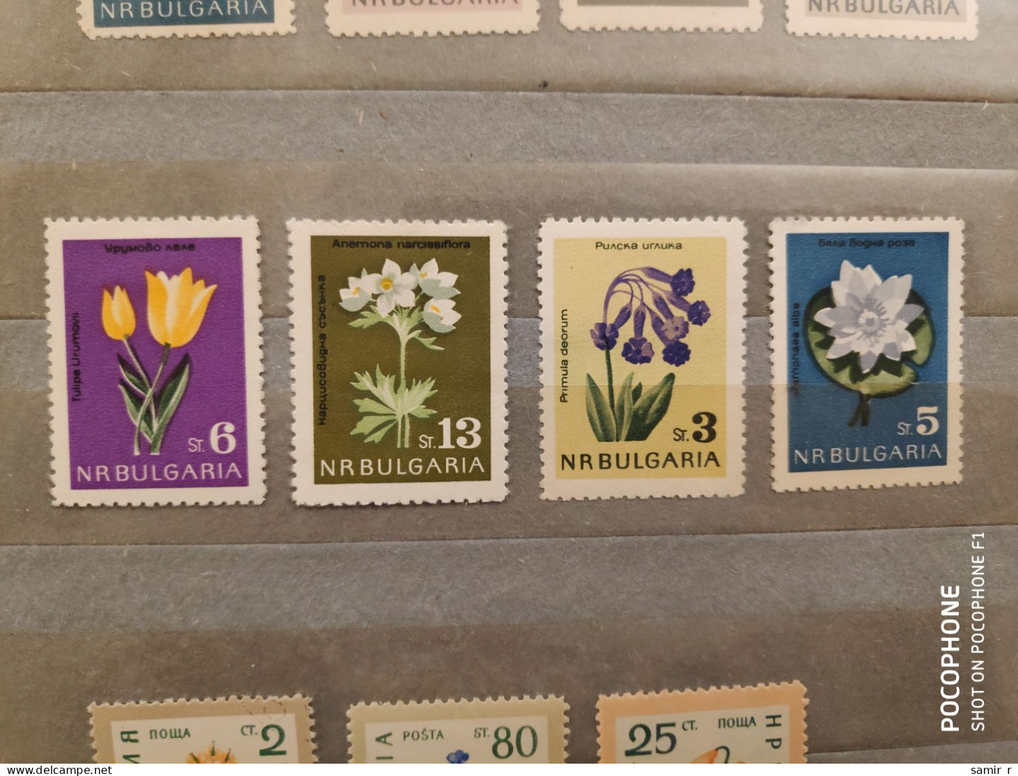 1962	Bulgaria	Flowers (F89) - Ongebruikt