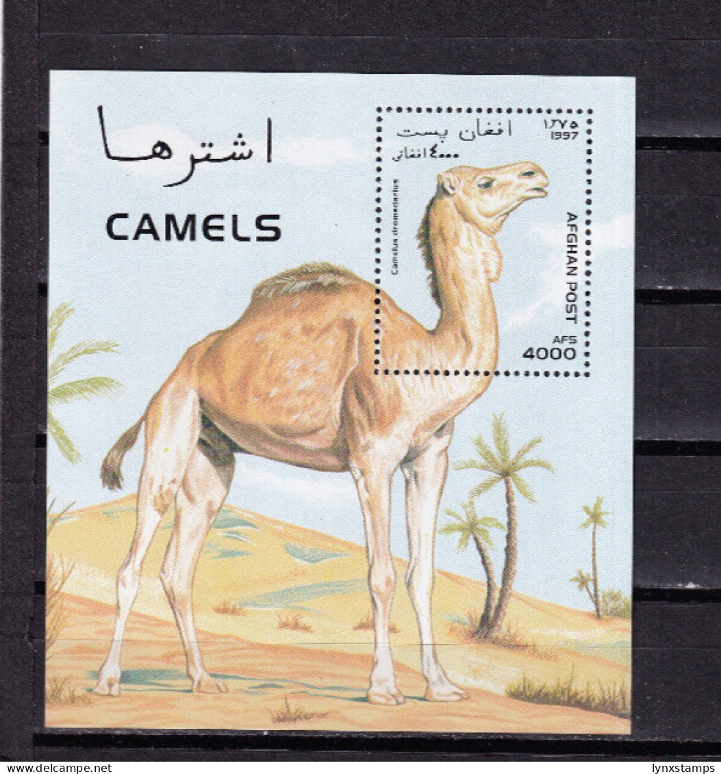 LI04 Afghanistan 1997 Llamas & Camels Mint Mini Sheet - Afghanistan