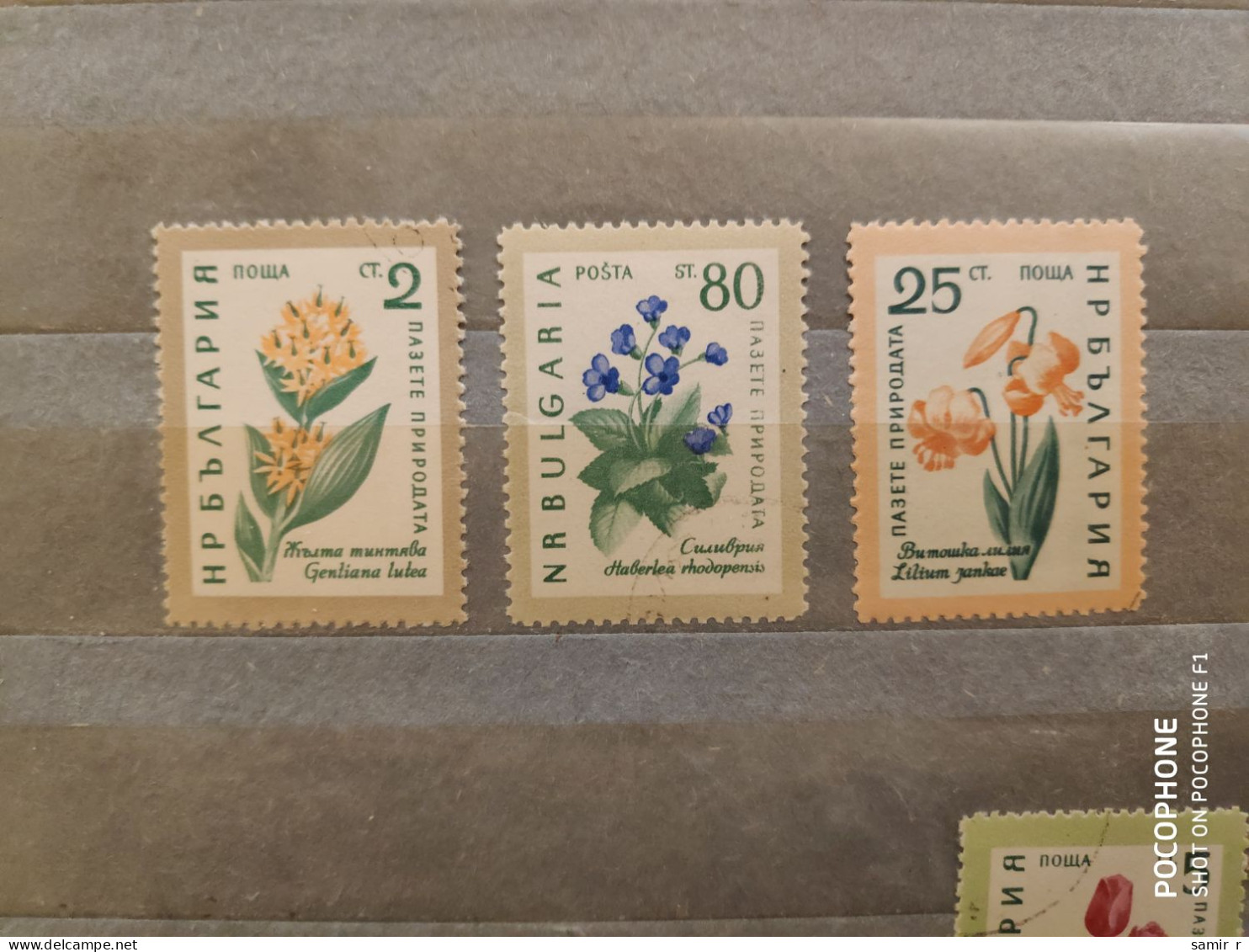 1960	Bulgaria	Flowers (F89) - Unused Stamps