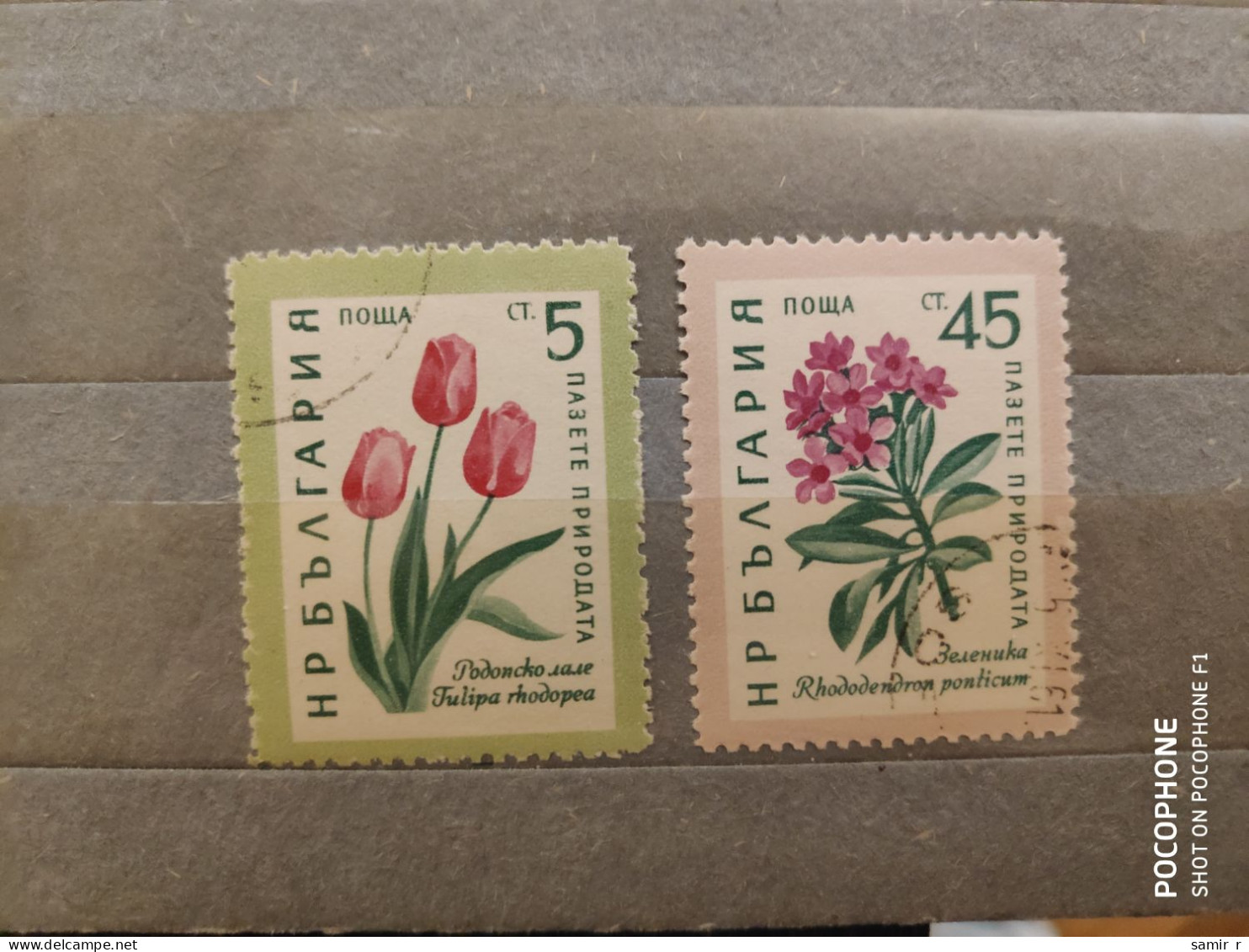 1960	Bulgaria	Flowers (F89) - Neufs