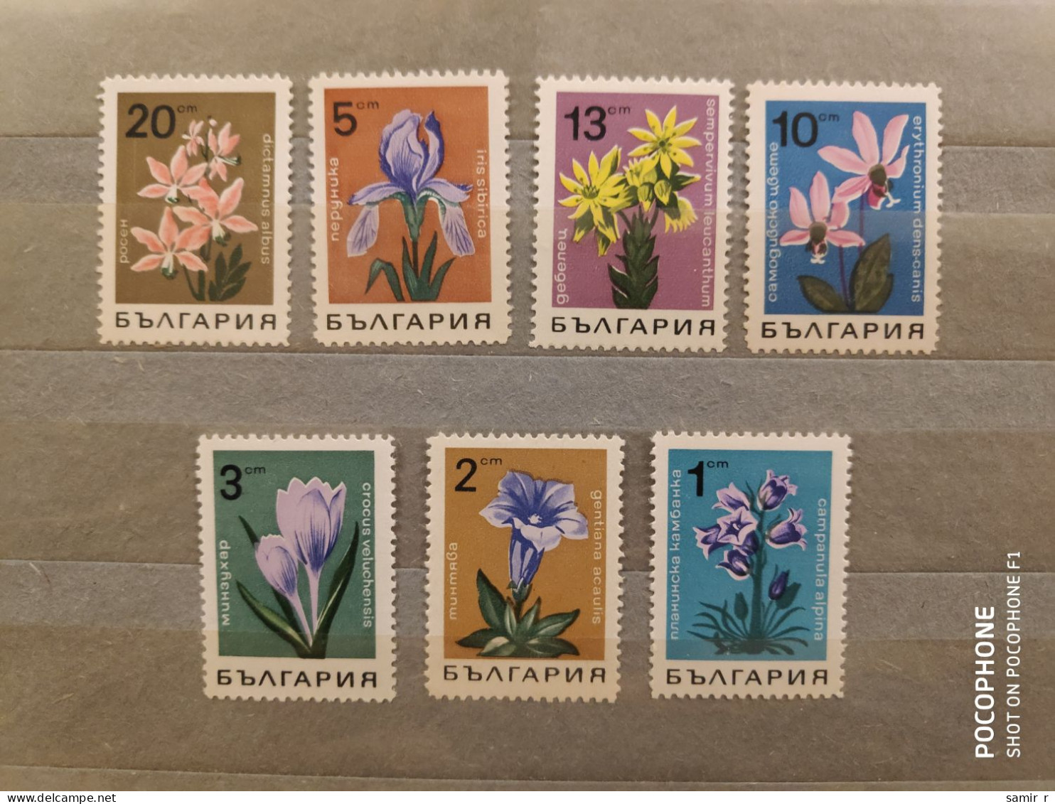 1968	Bulgaria	Flowers (F89) - Unused Stamps