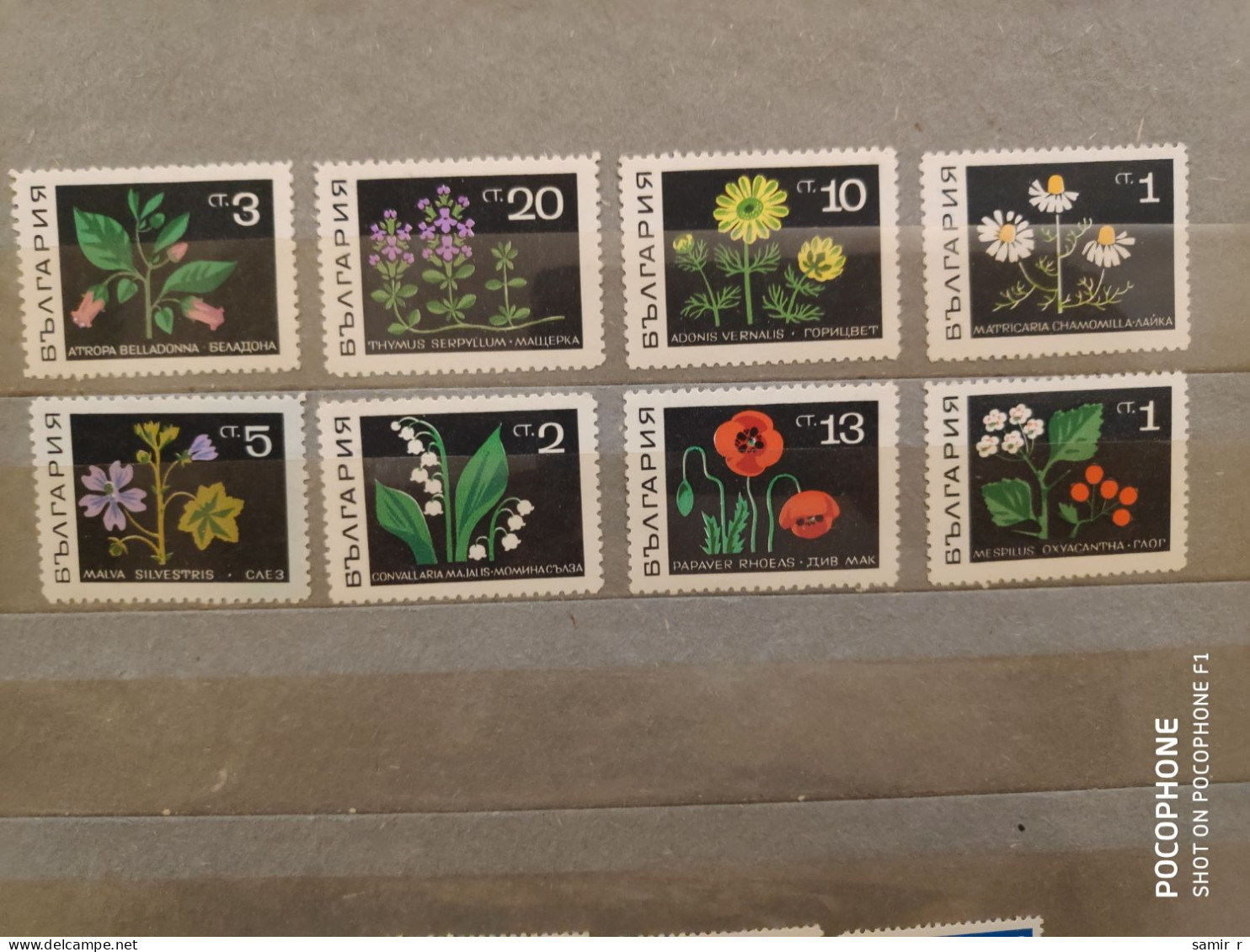 1969	Bulgaria	Flowers (F89) - Unused Stamps