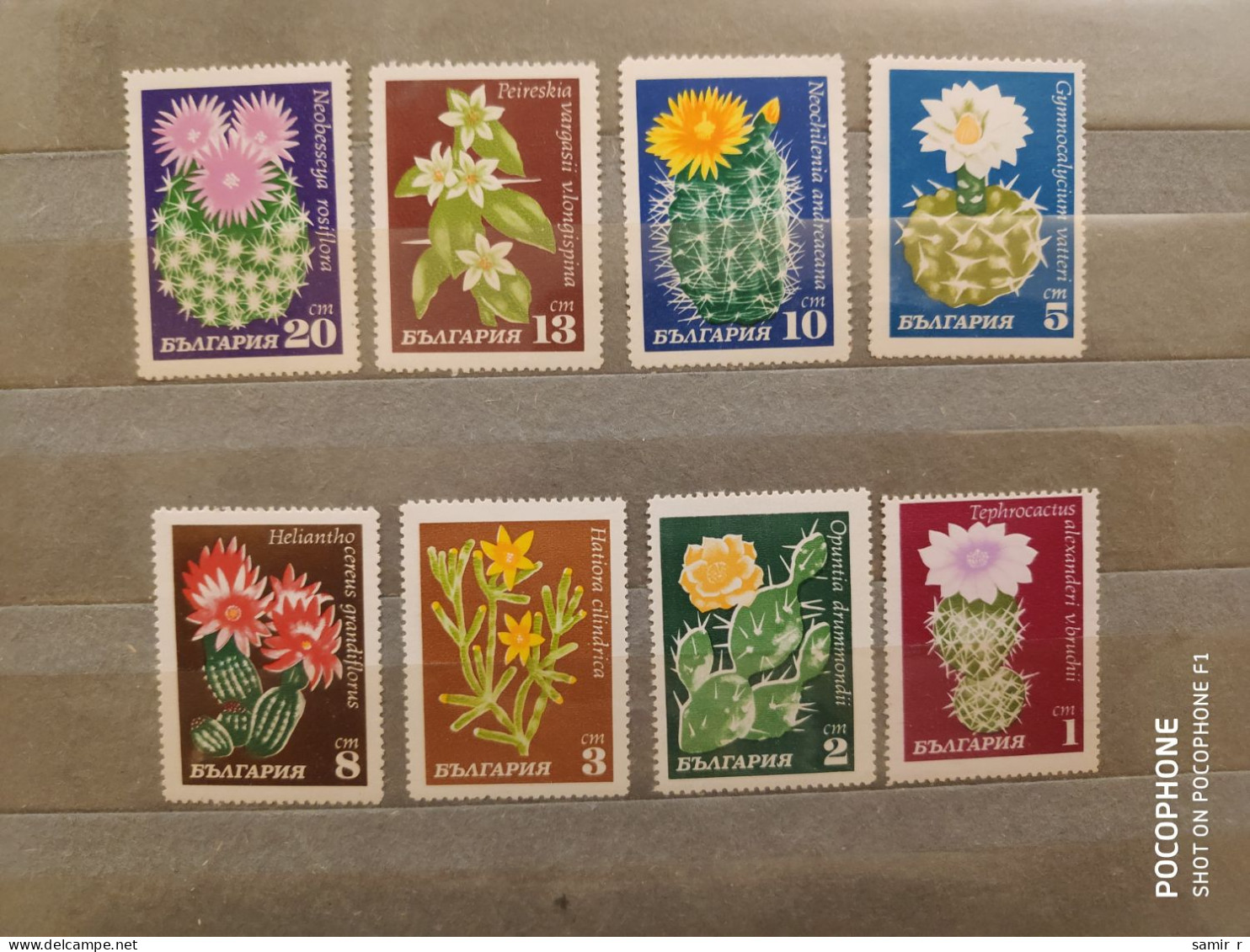 1970	Bulgaria	Flowers Cactuses (F89) - Neufs