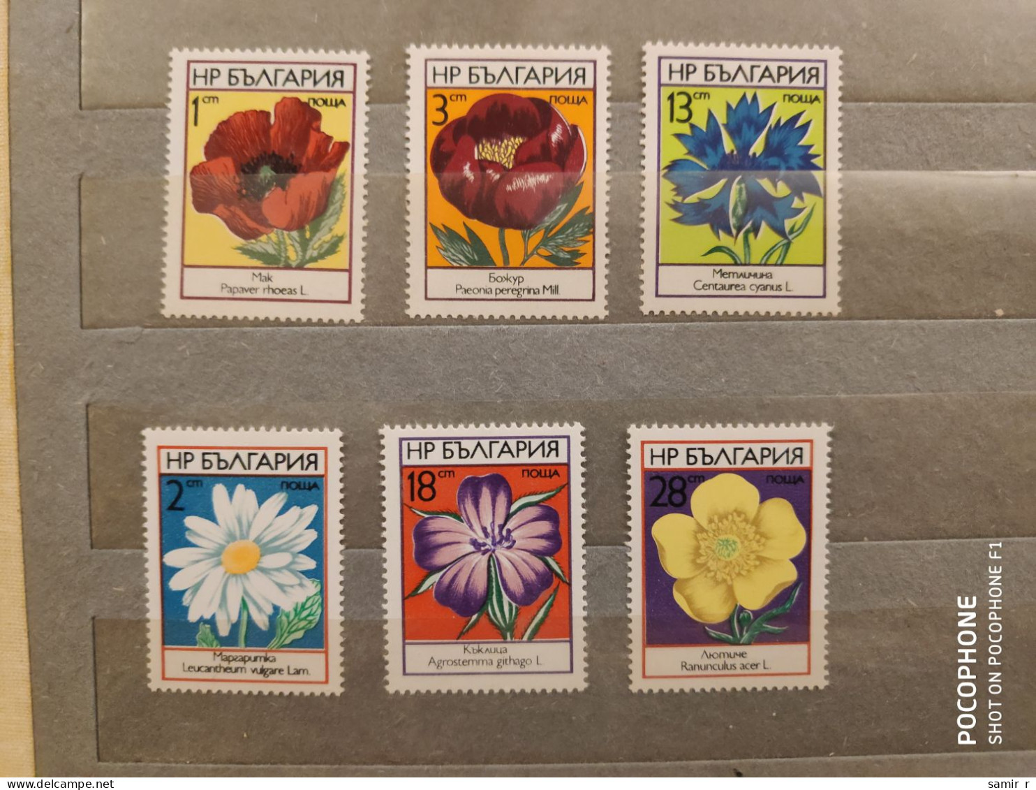 1973	Bulgaria	Flowers (F89) - Unused Stamps