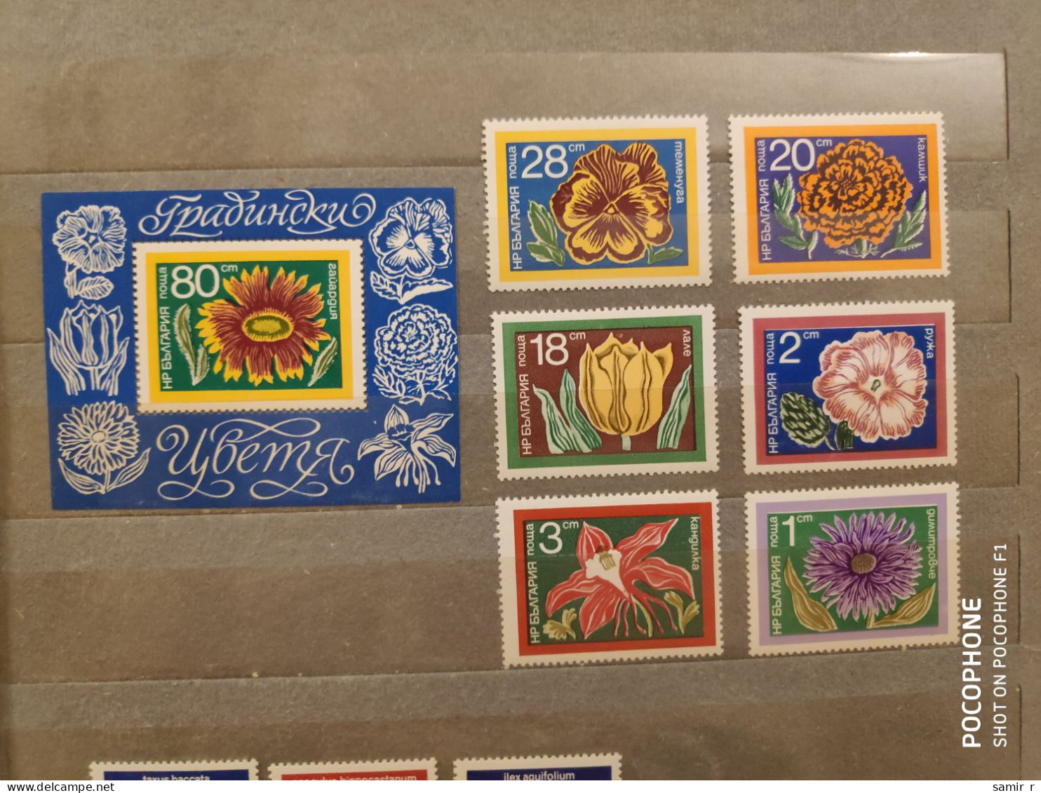 1974	Bulgaria	Flowers (F89) - Unused Stamps