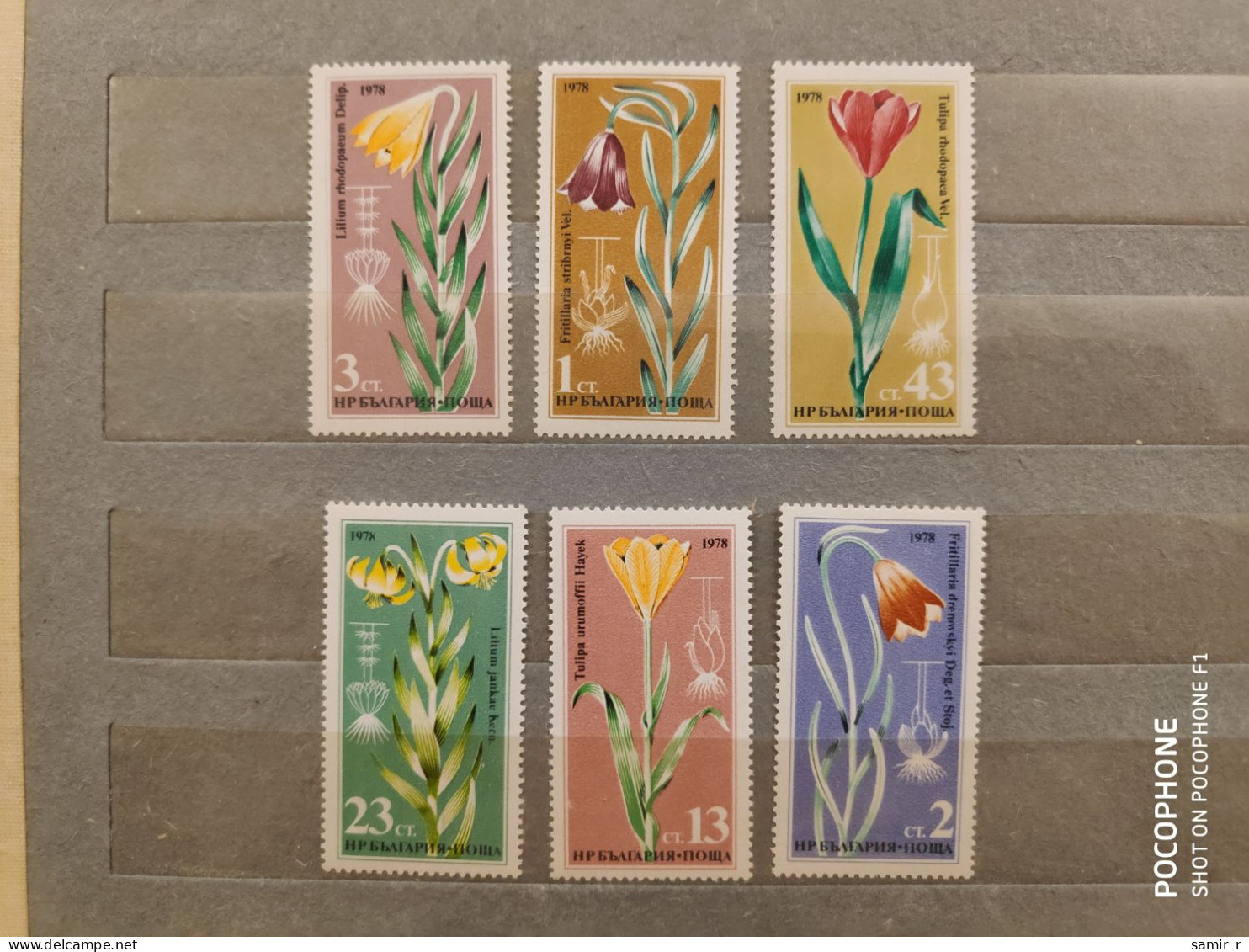 1978	Bulgaria	Flowers (F89) - Ungebraucht