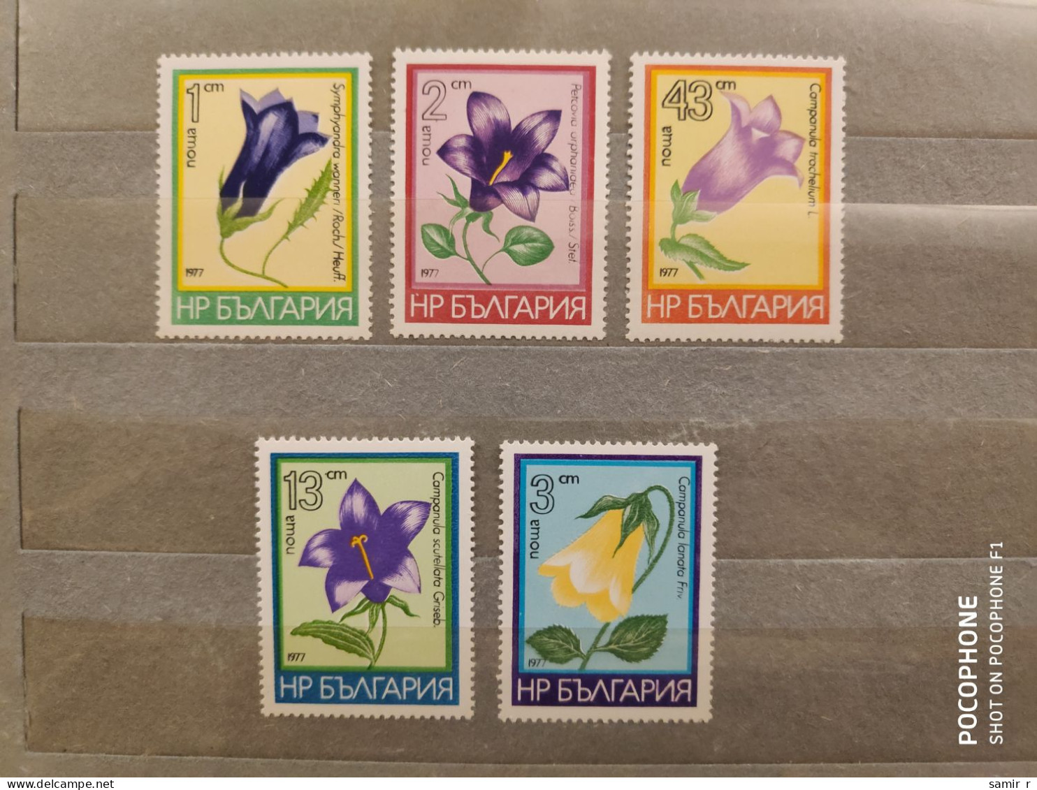 1977	Bulgaria	Flowers (F89) - Ungebraucht