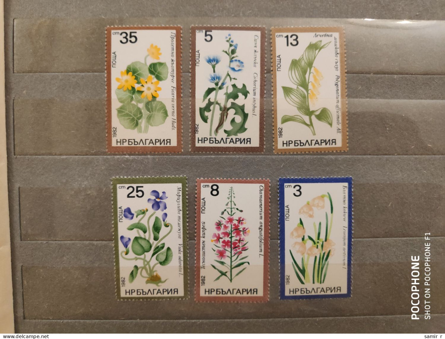 1982	Bulgaria	Flowers (F89) - Unused Stamps