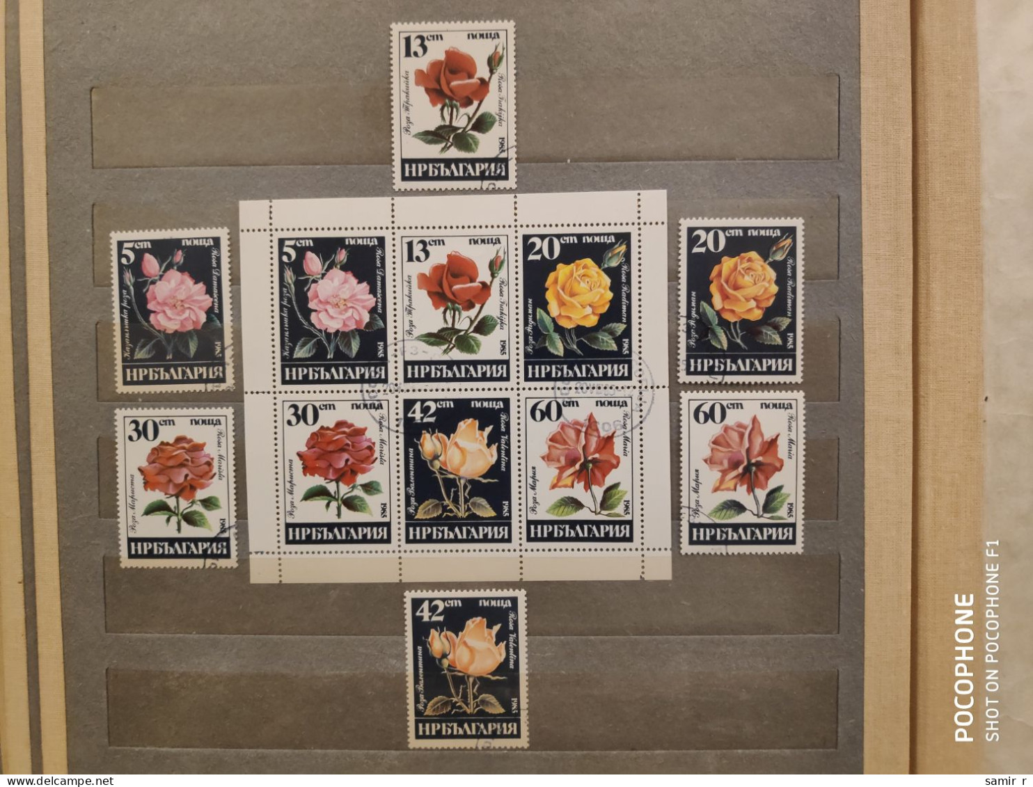 1985	Bulgaria	Flowers (F89) - Unused Stamps