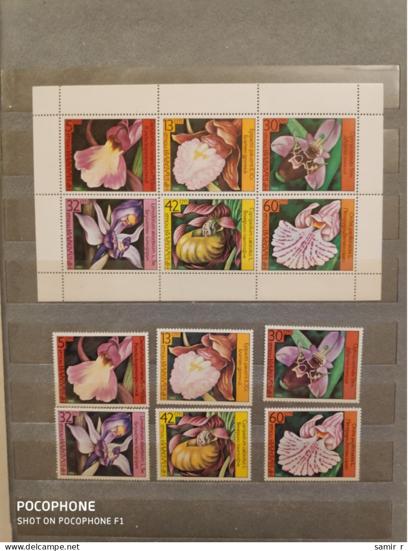 1986	Bulgaria	Flowers (F89) - Unused Stamps