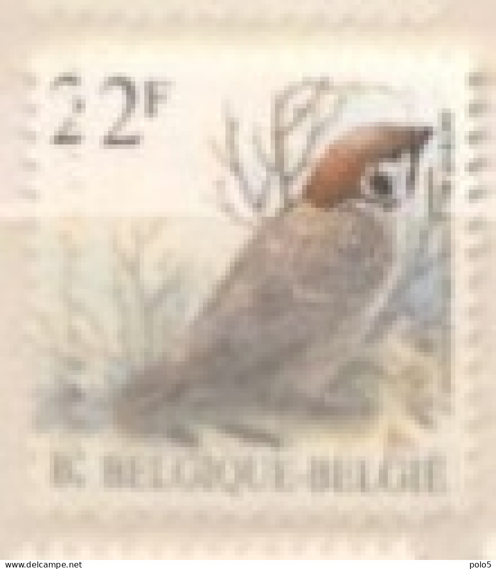 Belgique 1989- Oiseaux Série (1v) - Unused Stamps
