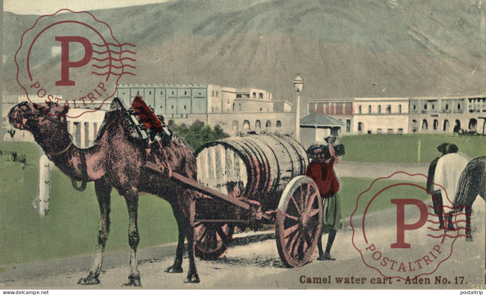 YEMEN. ADEN. Camel Water Cart. - Jemen