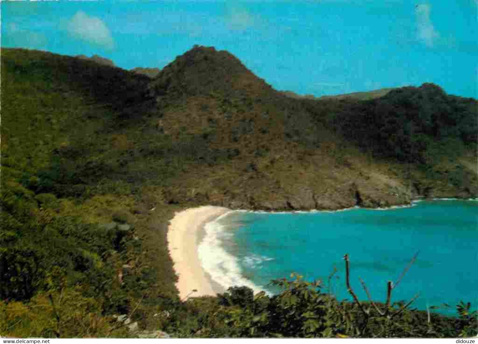 Guadeloupe - Saint Barthelemy - La Plage Du Gouverneur - CPM - Voir Scans Recto-Verso - Saint Barthelemy