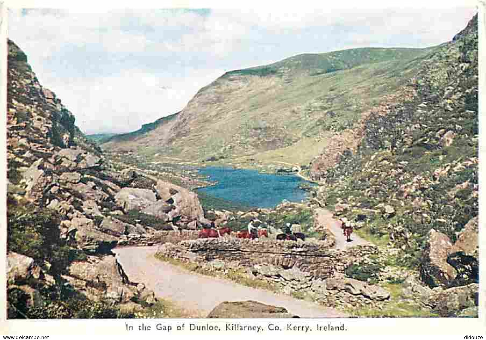 Irlande - Kerry - In The Gap Of Dunloe - Killarney - Chevaux - CPM - Voir Scans Recto-Verso - Kerry