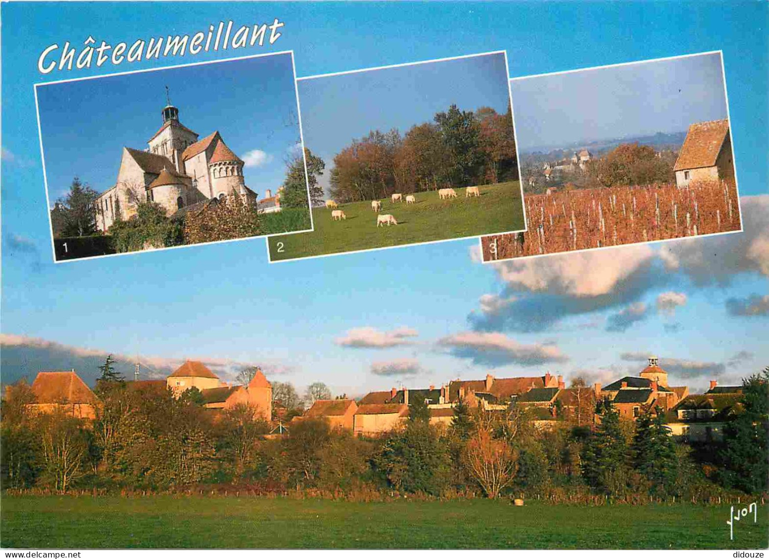 18 - Chateaumeillant - Multivues - CPM - Voir Scans Recto-Verso - Châteaumeillant