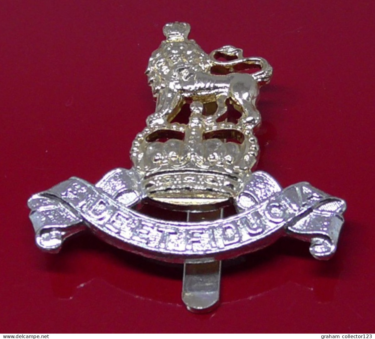 Royal Army Pay Corps Regiment Modern Anodised Staybrite Cap Badge British Army Queens Crown JR Gaunt Birmingham - Armee