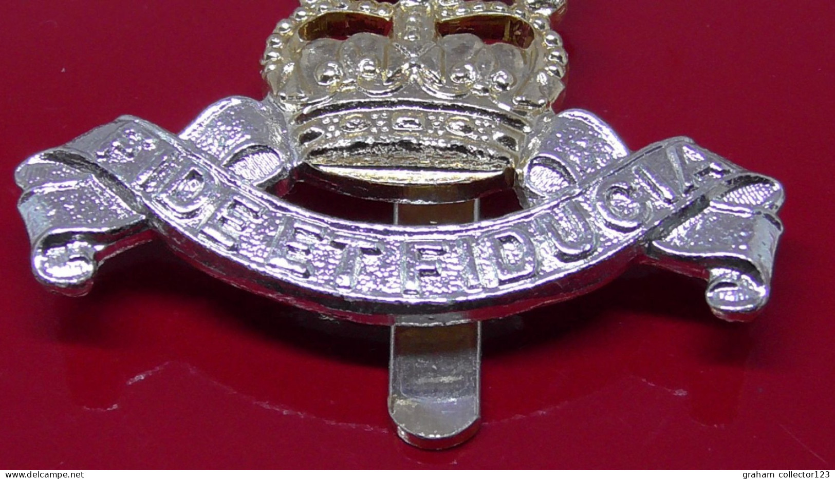 Royal Army Pay Corps Regiment Modern Anodised Staybrite Cap Badge British Army Queens Crown JR Gaunt Birmingham - Armee