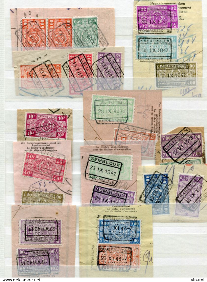 Belgie : Spoorwegzegels En Spoorwegzegels Op Fragment - Stamps