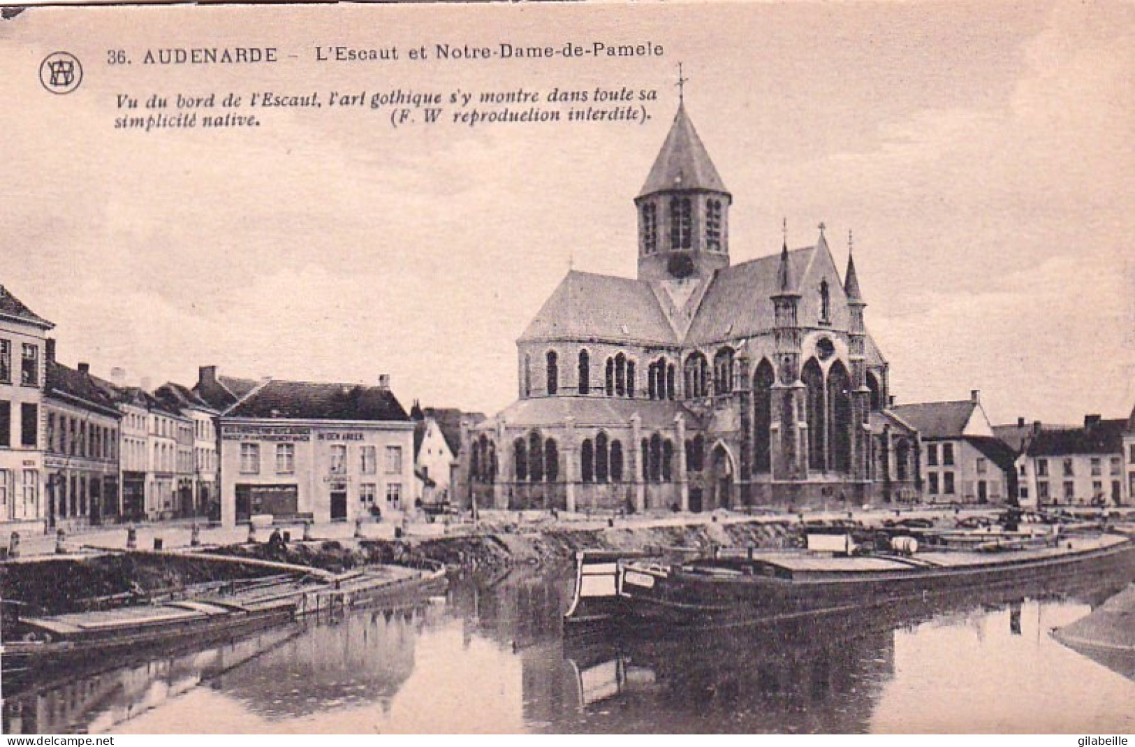 AUDENARDE- OUDENAARDE - L'Escaut Et Notre Dame De Pamele - Oudenaarde
