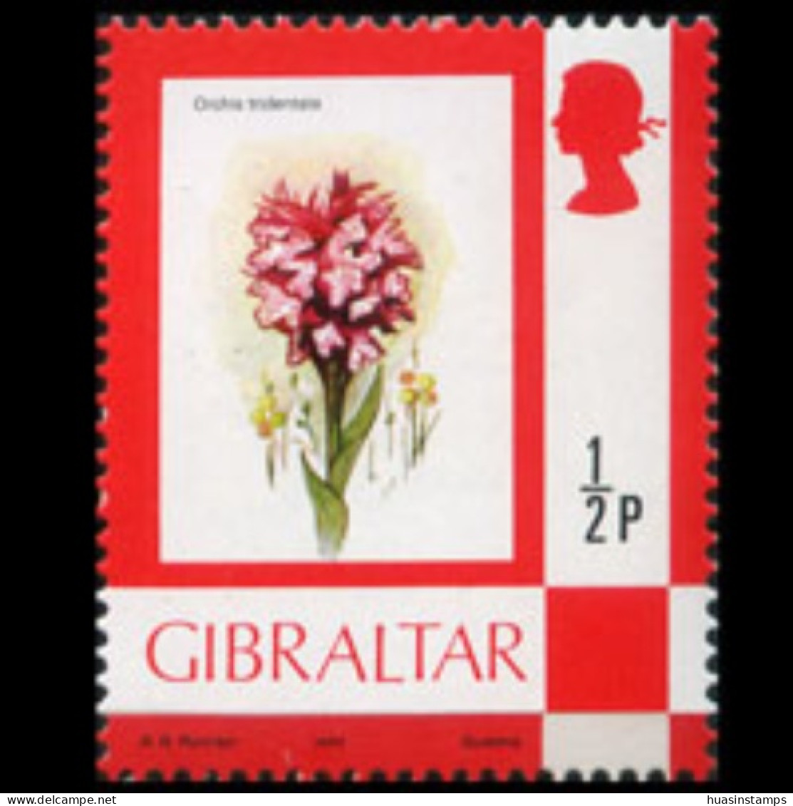 GIBRALTAR 1982 - #340a Orchids Dated 1982 Set Of 1 MNH - Gibraltar